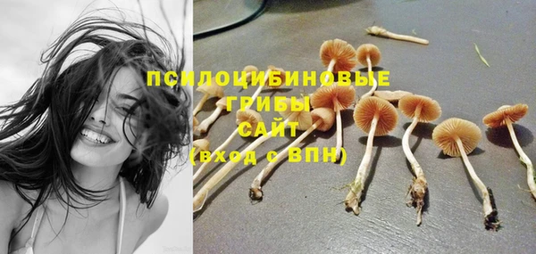 PSILOCYBIN Володарск